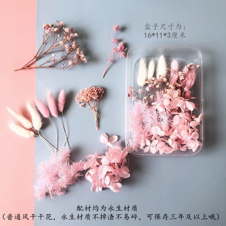 Eternal flowers baby's breath  - Baby Breath Dried review and price