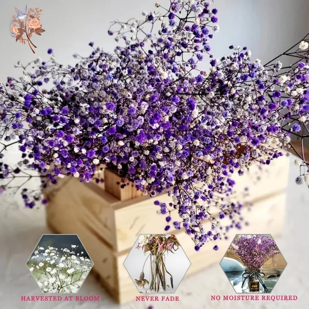 Real Touch Purple Gypsophile 8 - Baby Breath Dried review and price