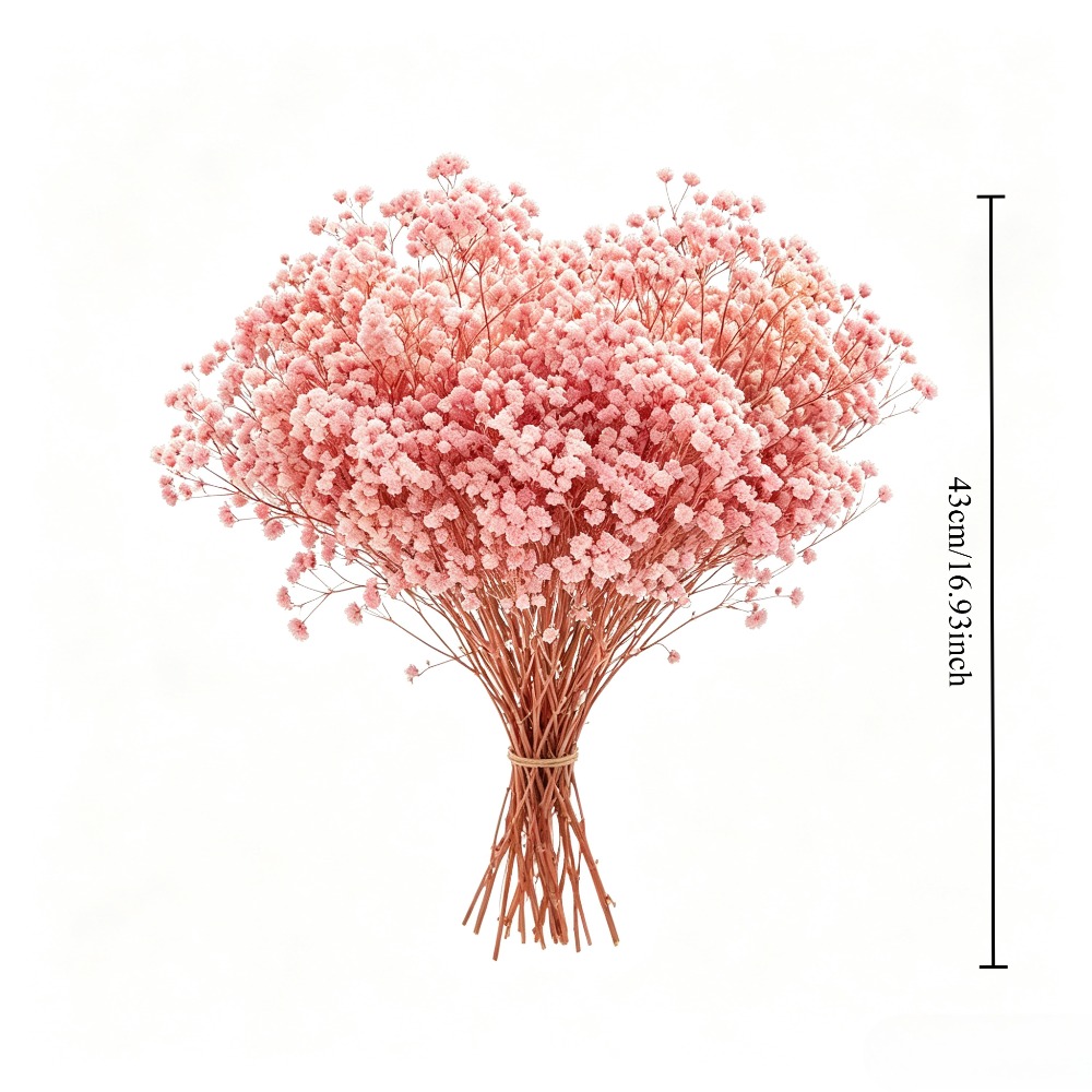 Natural Preserved Pink Baby's  - Baby Breath Dried review and price