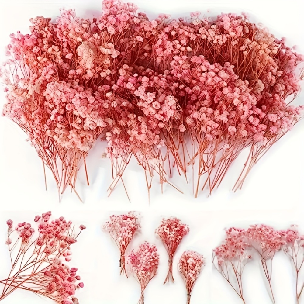 Natural Preserved Pink Baby's  - Baby Breath Dried review and price