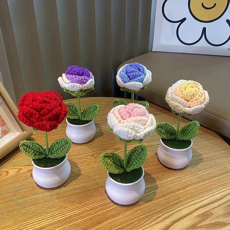 1/2/4Pcs DIY Handwoven Mini Po - Florist Supply Vases review and price