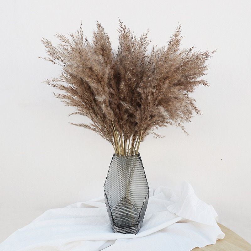 10Pcs Colorful Natural Reeds P - Florist Supply Vases review and price