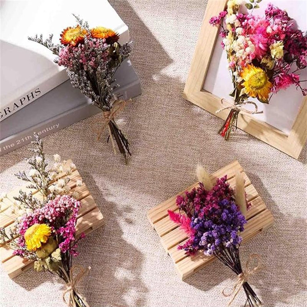 DIY Small Bouquet Mini Dried B - Baby Breath Dried review and price