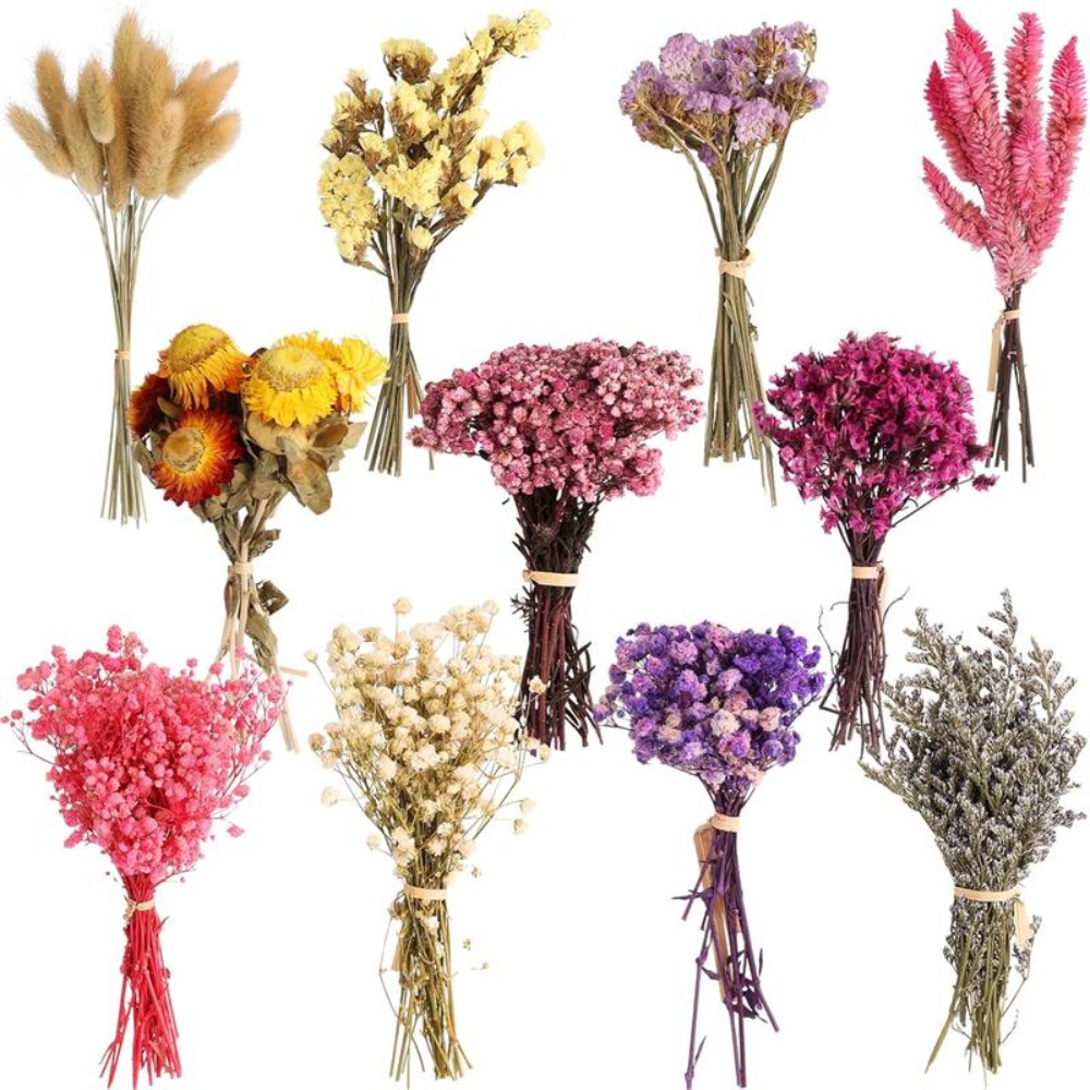 DIY Small Bouquet Mini Dried B - Baby Breath Dried review and price
