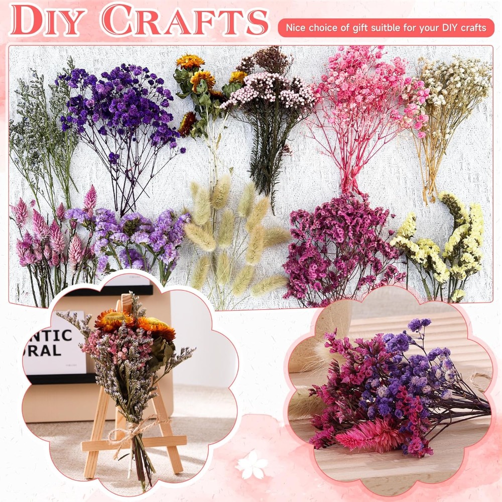 DIY Small Bouquet Mini Dried B - Baby Breath Dried review and price