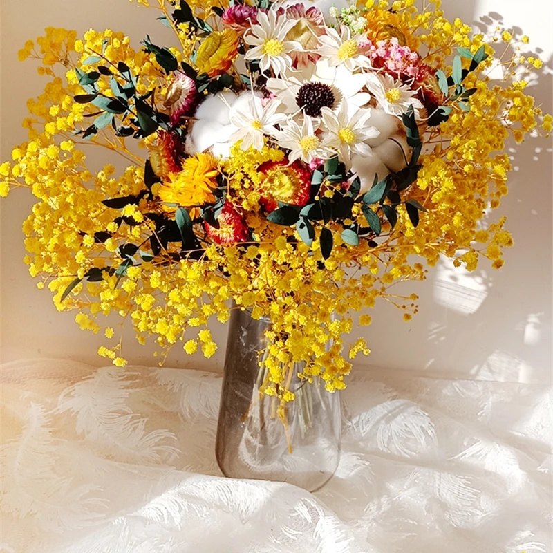 Natural Dried Flower Gypsophil - Baby Breath Dried review and price