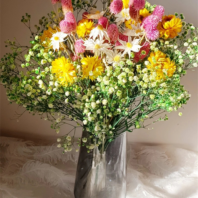 Natural Dried Flower Gypsophil - Baby Breath Dried review and price