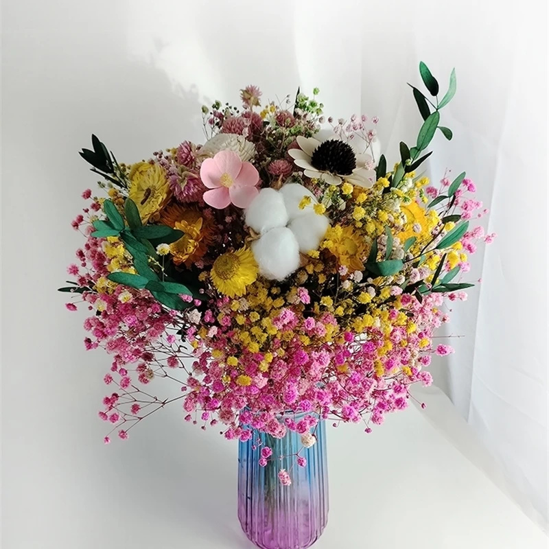 Natural Dried Flower Gypsophil - Baby Breath Dried review and price