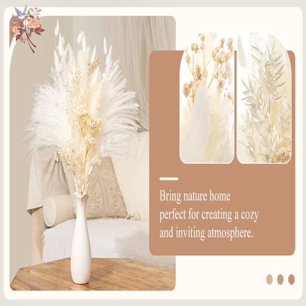 40pcs White Natural Dried Flow - Baby Breath Dried review and price