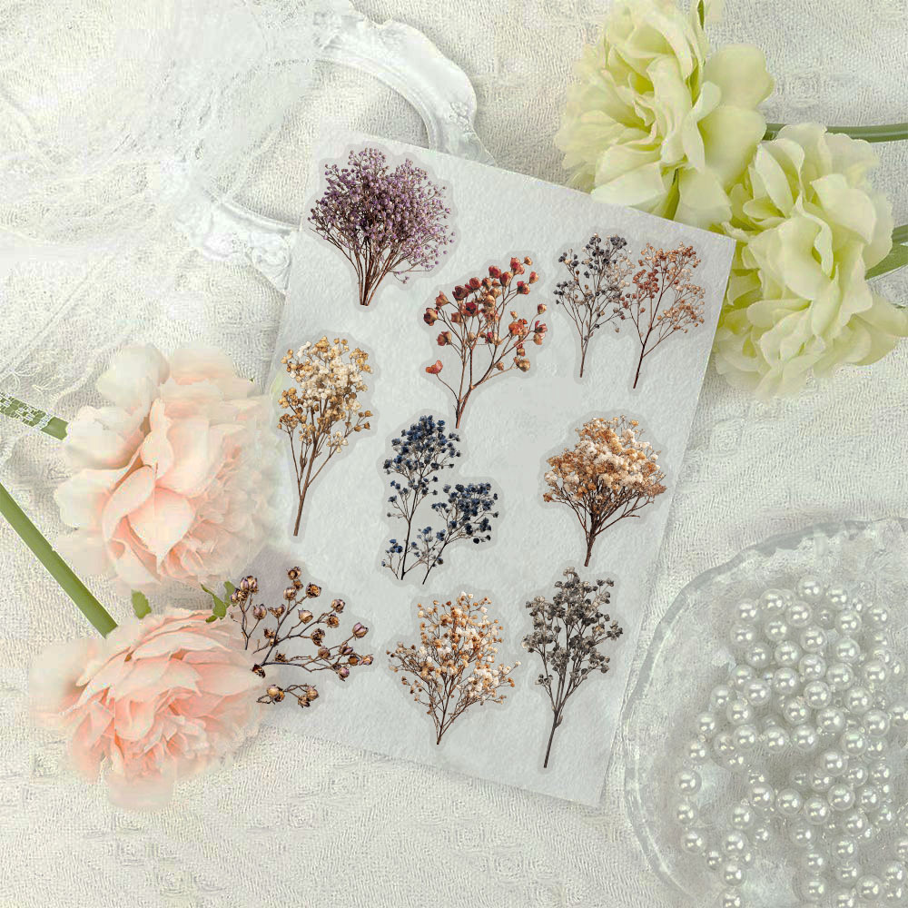 50 Pcs Vintage Dried Baby‘s Br - Baby Breath Dried review and price
