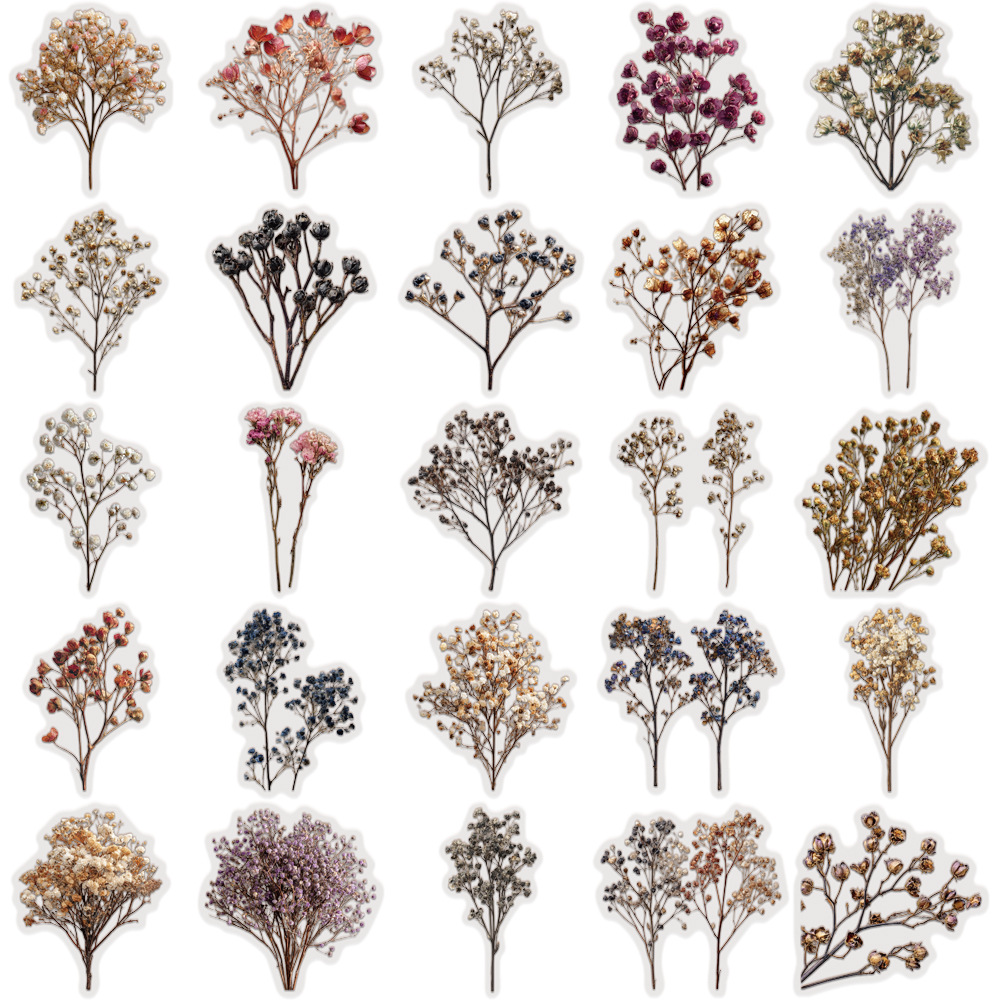 50 Pcs Vintage Dried Baby‘s Br - Baby Breath Dried review and price
