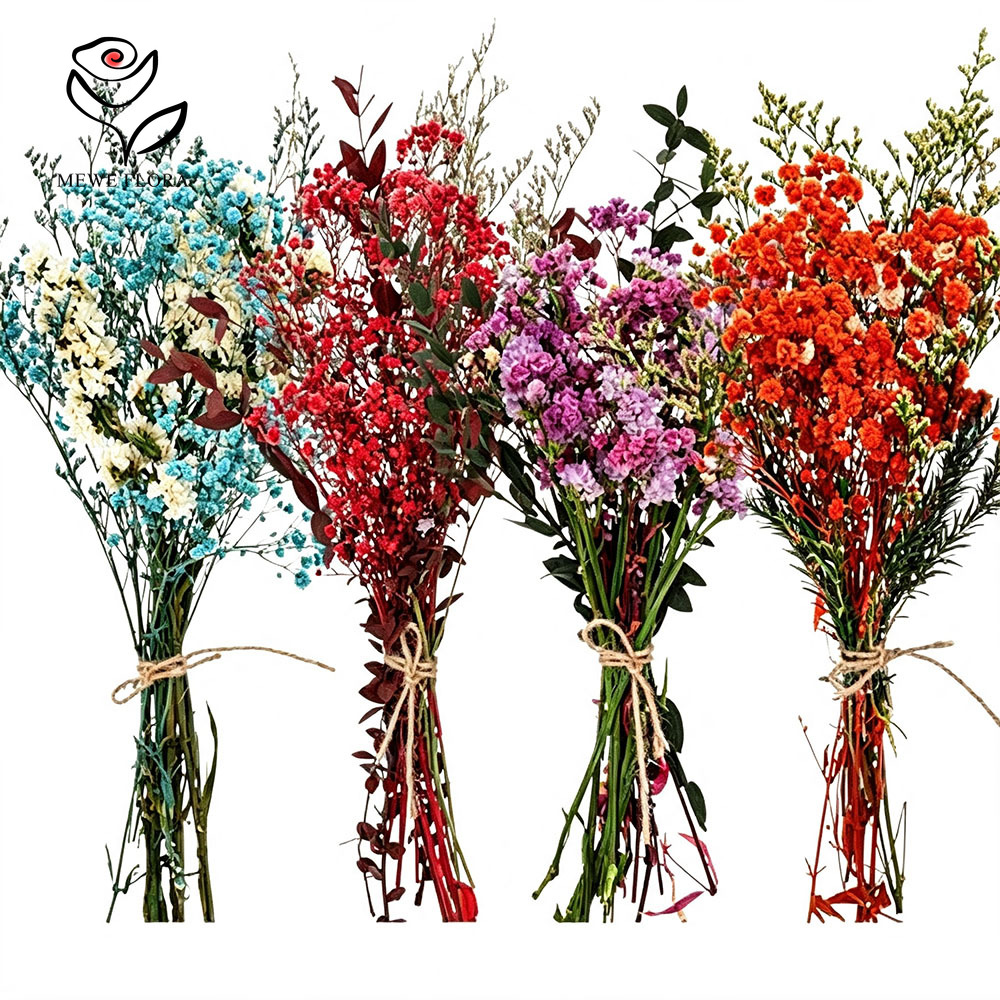 Colorful Dried Flowers Natural - Baby Breath Dried review and price