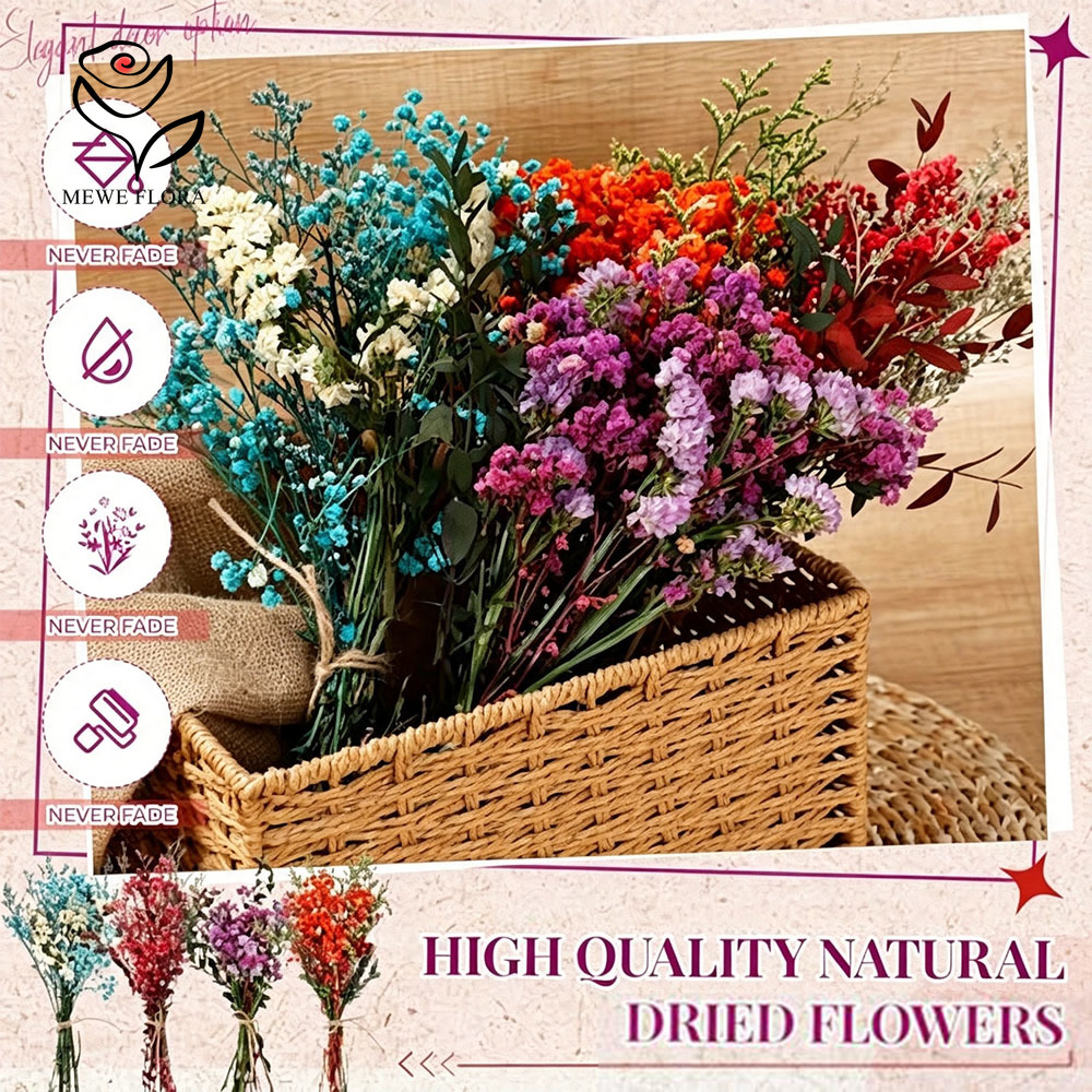 Colorful Dried Flowers Natural - Baby Breath Dried review and price