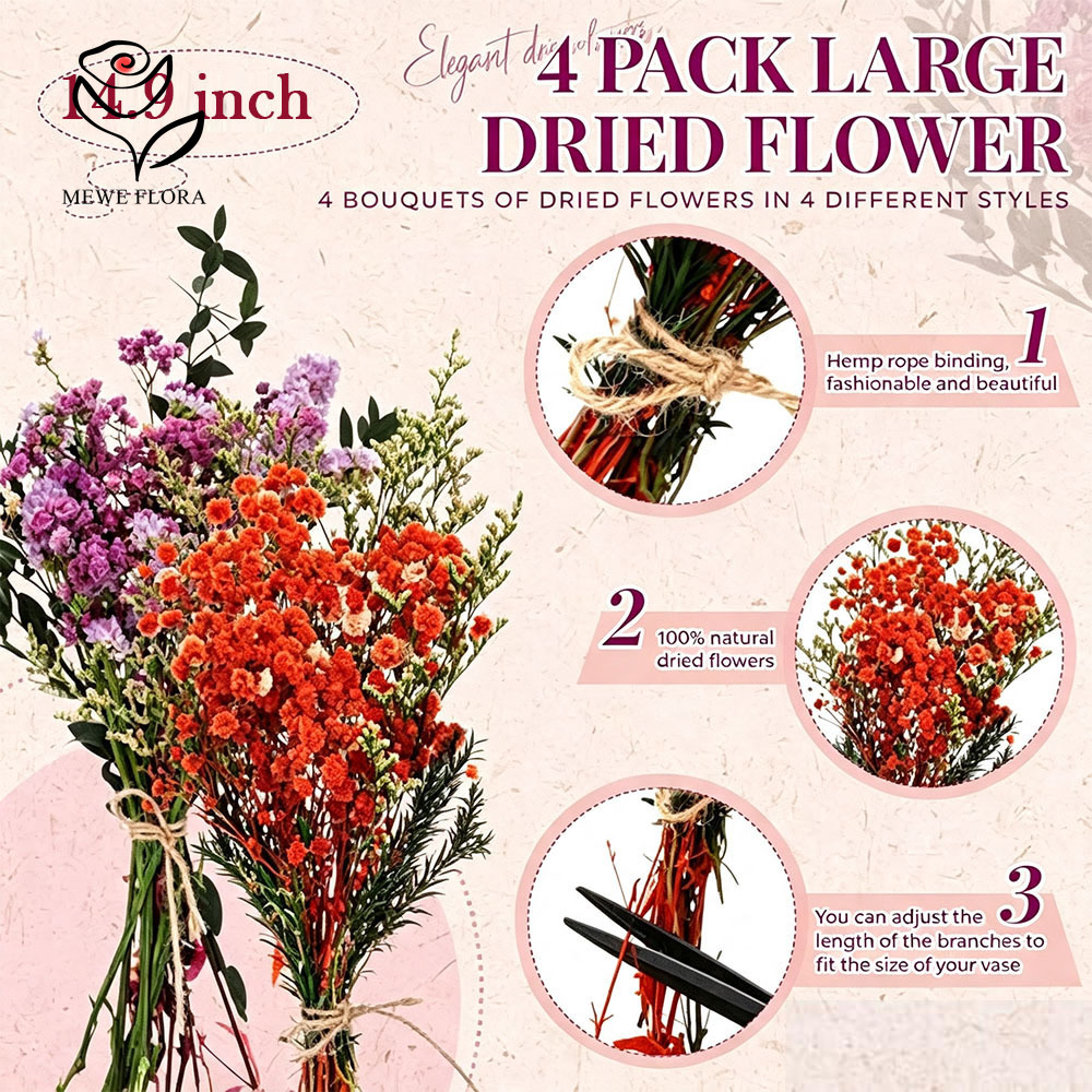 Colorful Dried Flowers Natural - Baby Breath Dried review and price