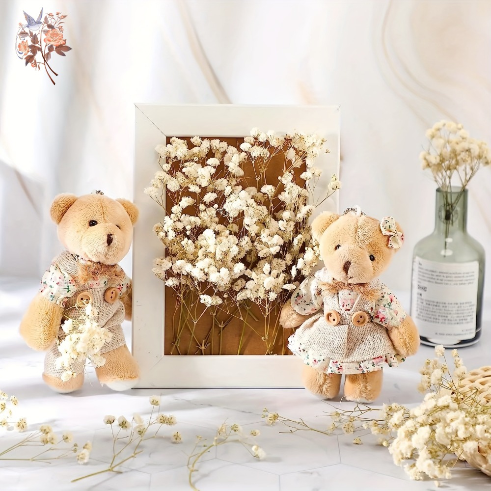 100pcs Mini Dried Baby's Breat - Baby Breath Dried review and price